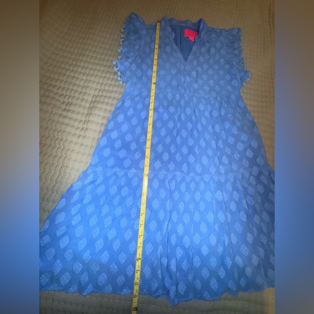 Lilly Pulitzer Arleah Pom Pom Dress – Blue Thistle Daiquiri Ditsy Size 2 EUC - Picture 4 of 10